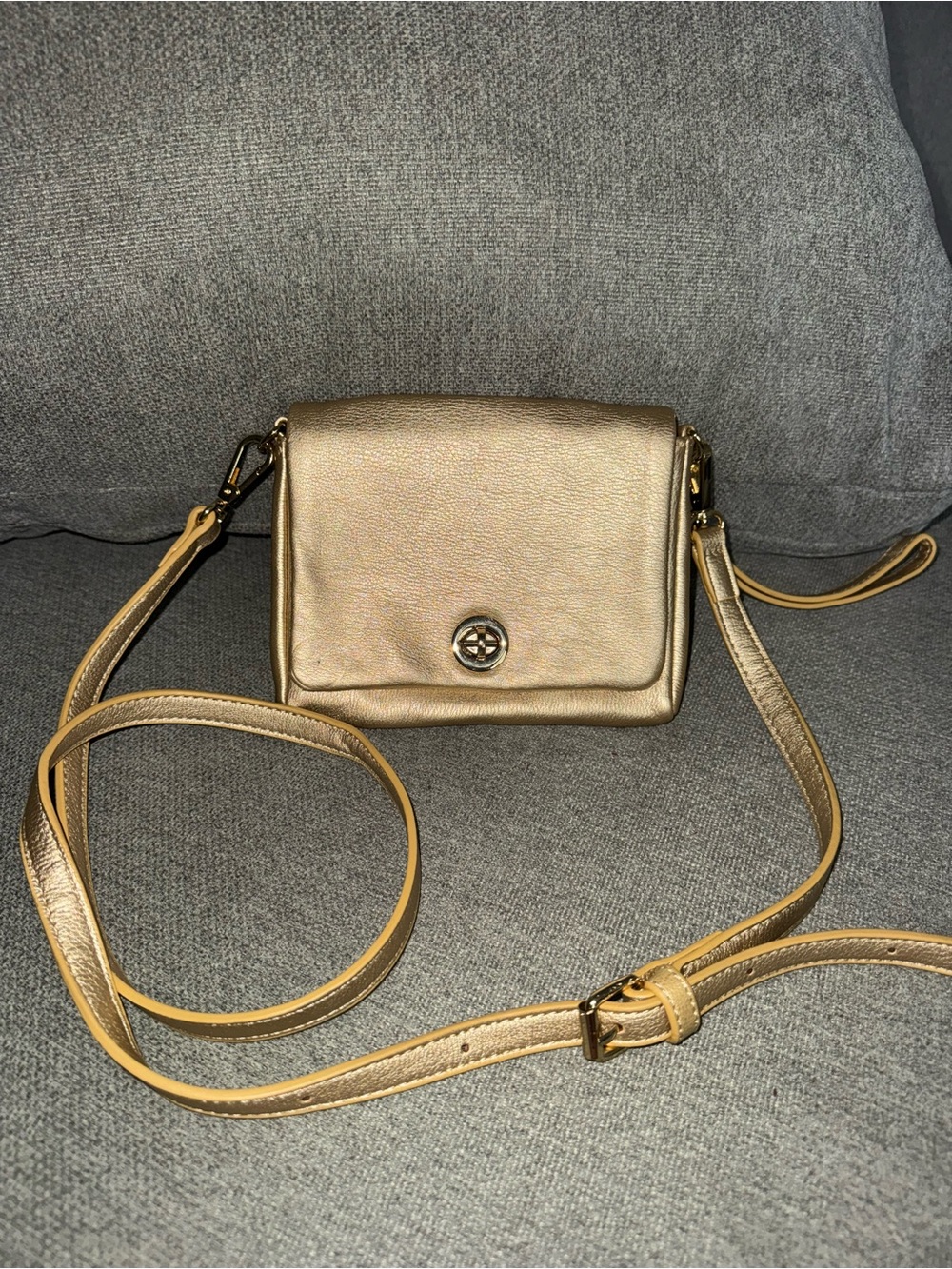 Metallic Gold Crossbody Bag or Clutch with Turn-Lock Accent